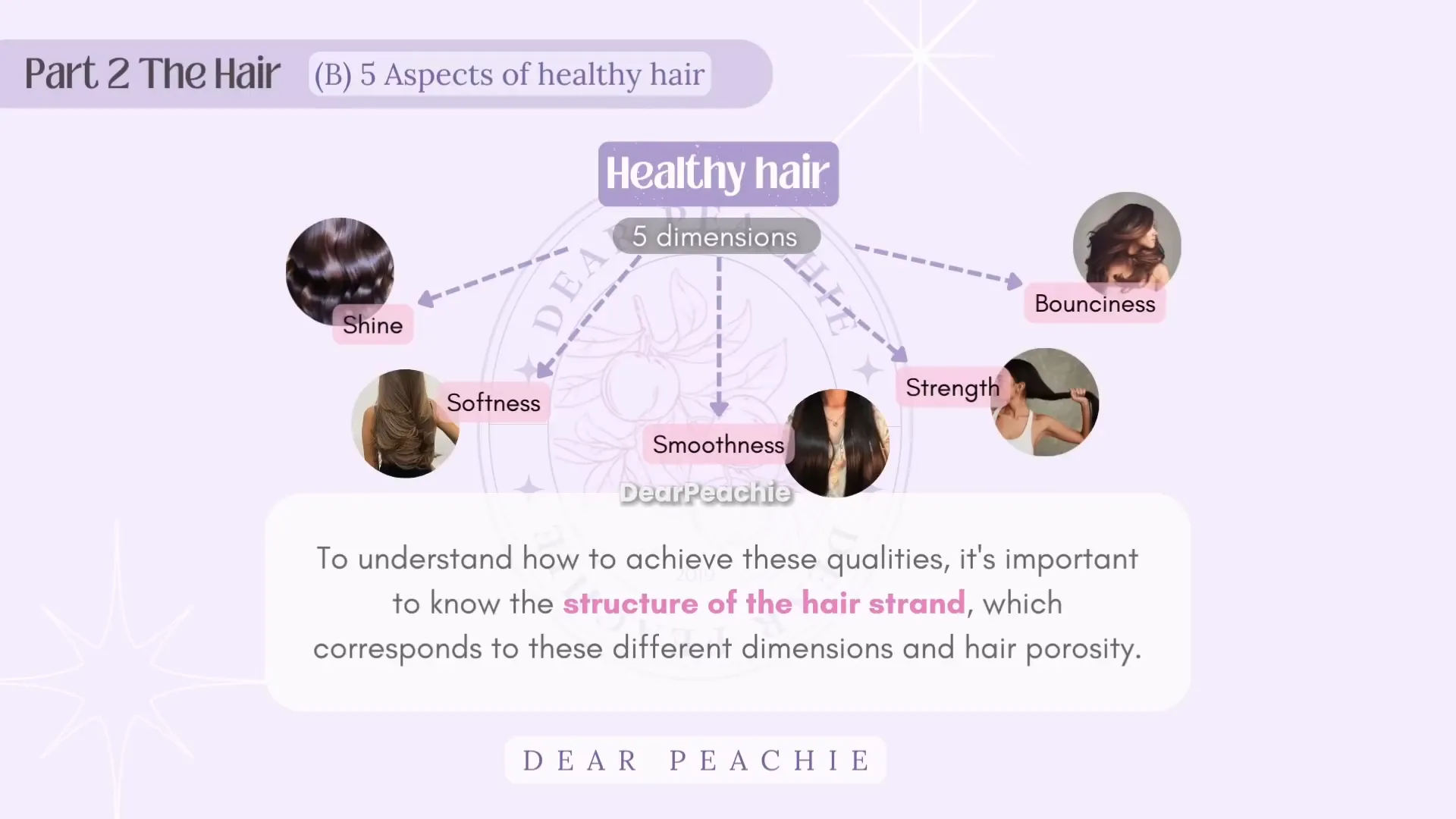 Estructura del cabello