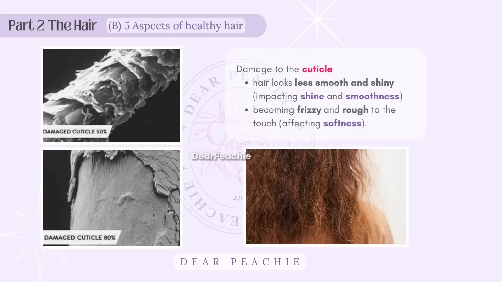Aspectos del cabello saludable