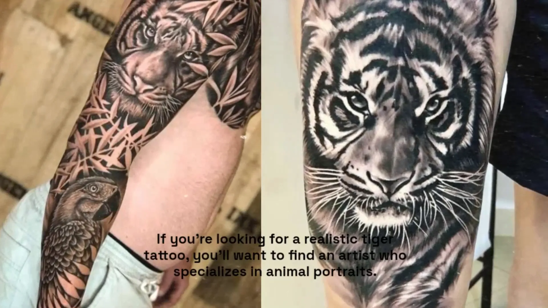 Realistic tiger tattoo design