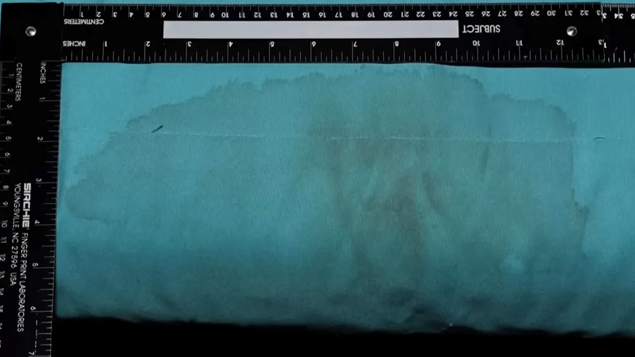 Futon with a visible bloodstain that tested positive for Mindy's DNA