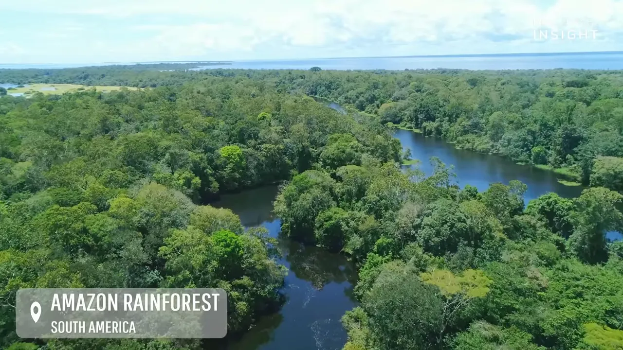 Wide aerial view of the Amazon rainforest in South America with the Amazon River winding through the canopy
