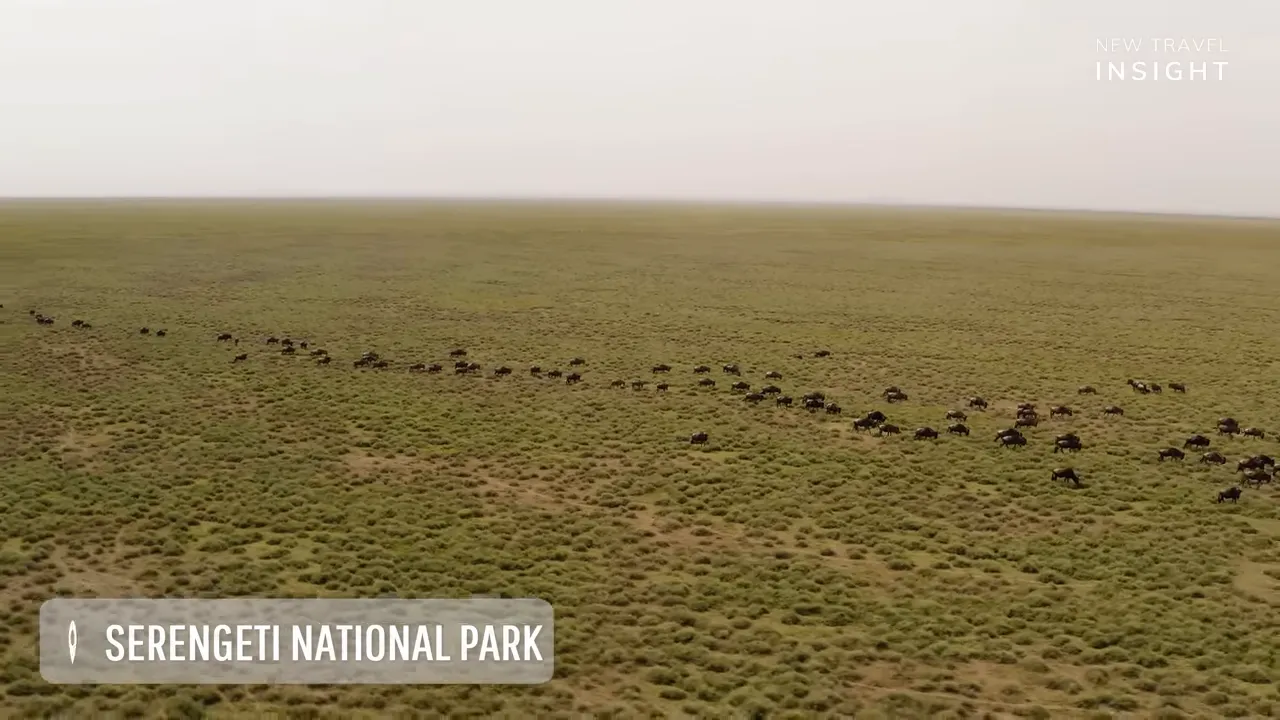 Wildebeest migration herds across Serengeti National Park plains under a hazy sky