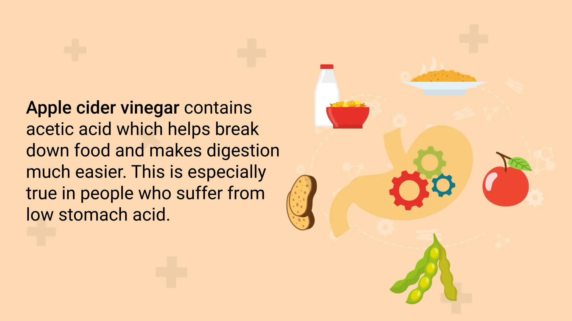 Digestive benefits of apple cider vinegar