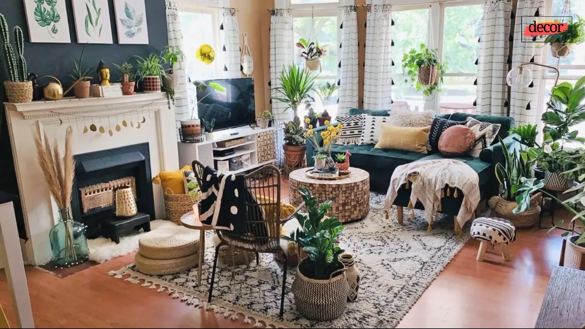 Plants in Bohemian living room