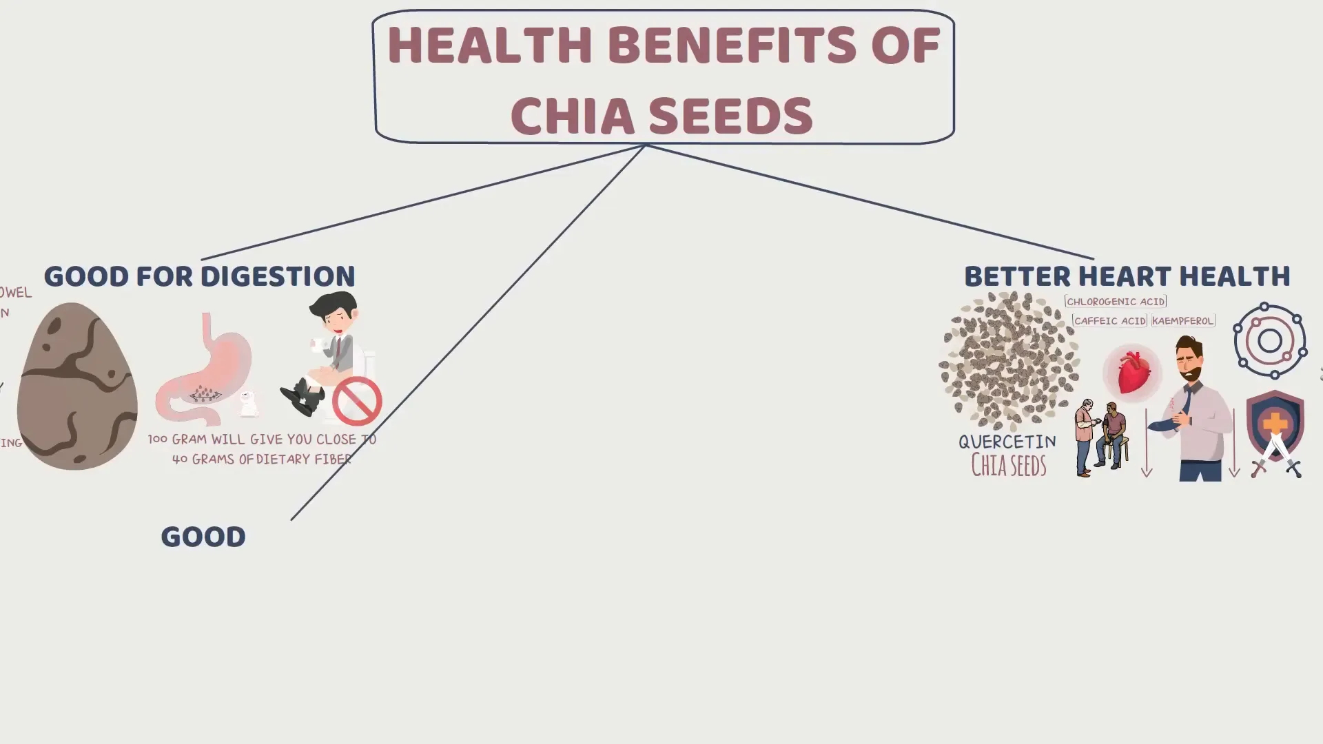 Nutritional comparison of chia seeds and dairy