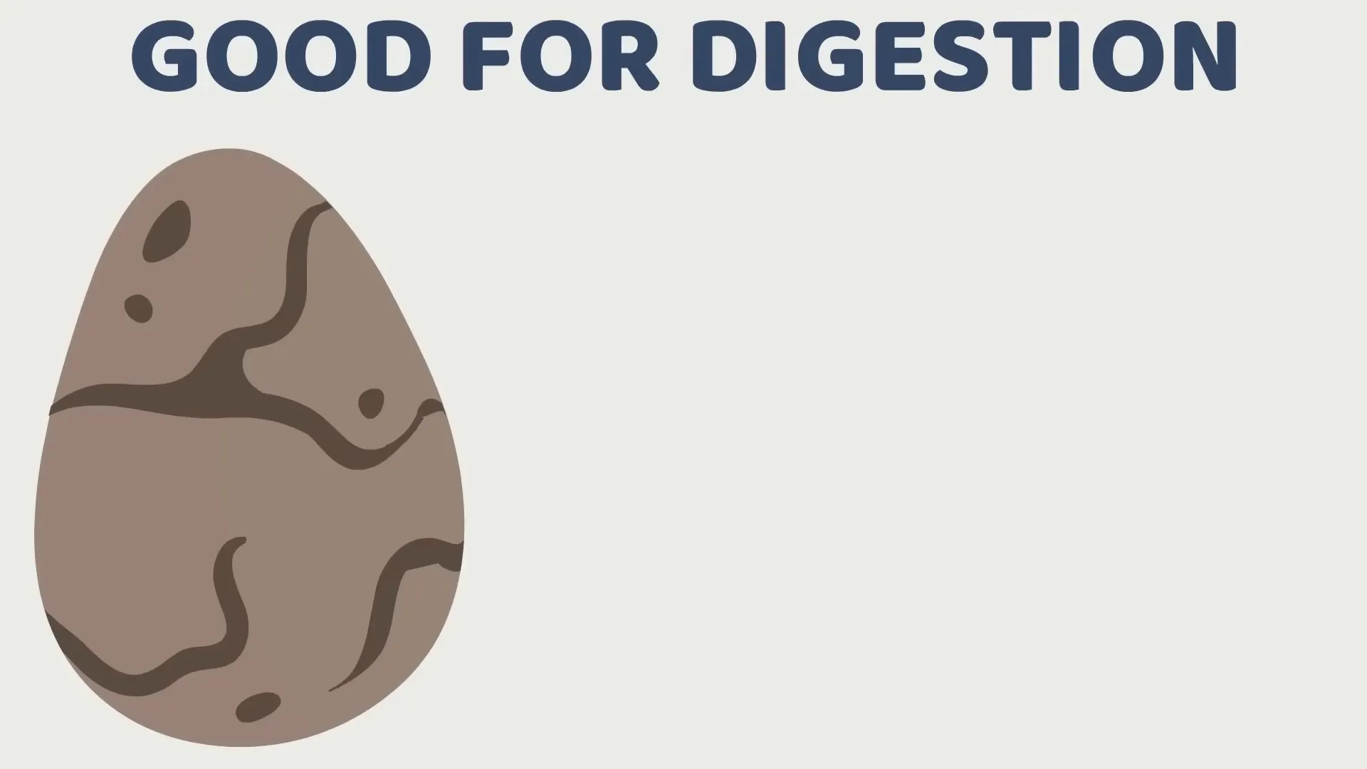 Illustration of digestive system highlighting fiber importance