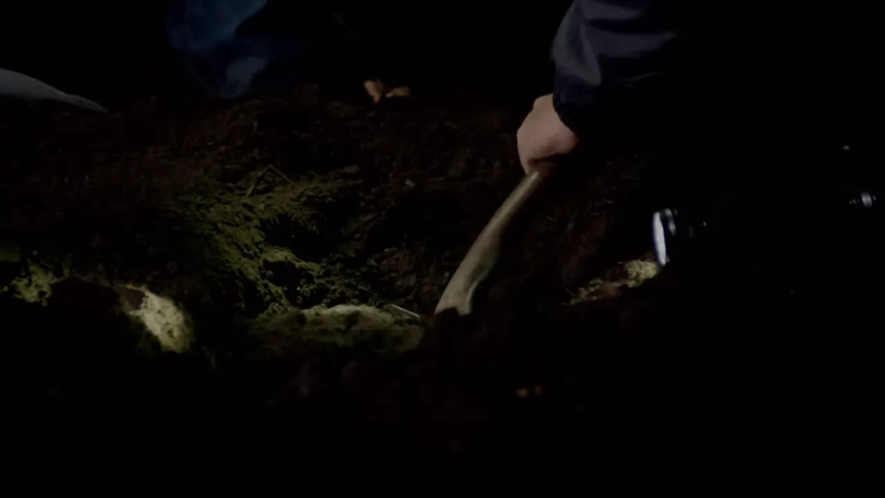 Investigators scraping soil from a cramped, low crawl space where bones begin to appear.