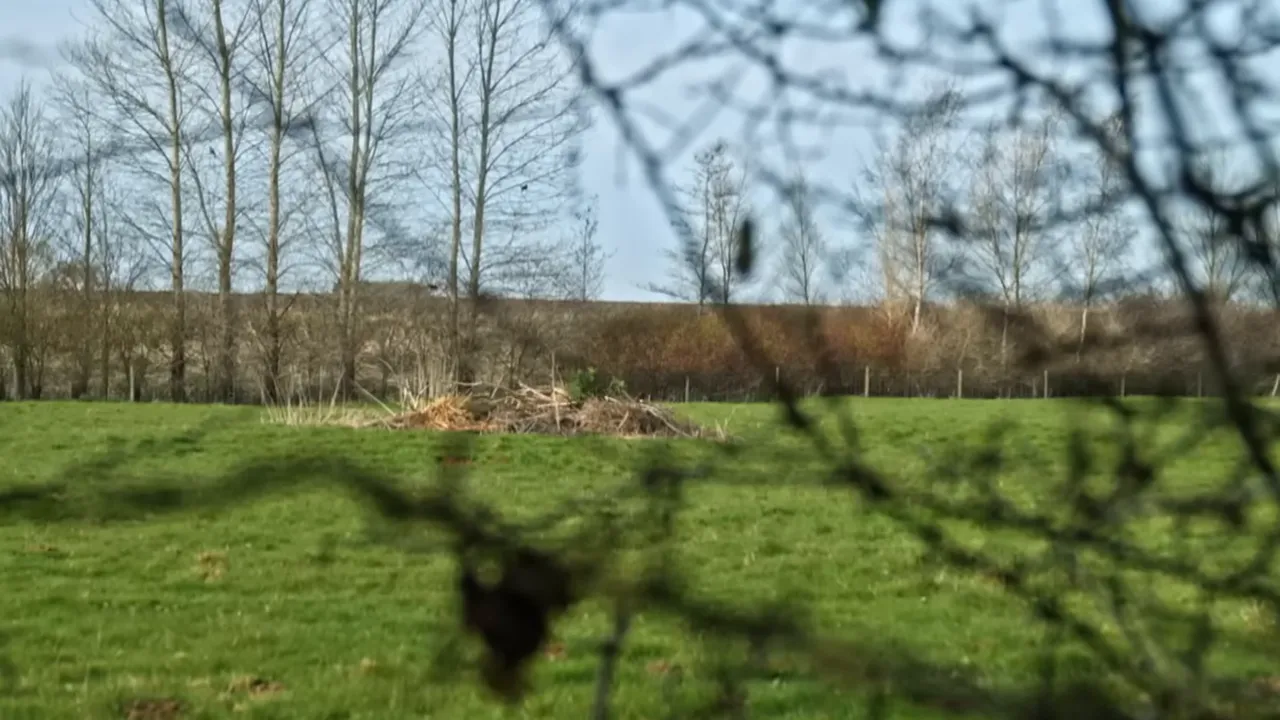 Volunteers and police retracing the lane to find clues