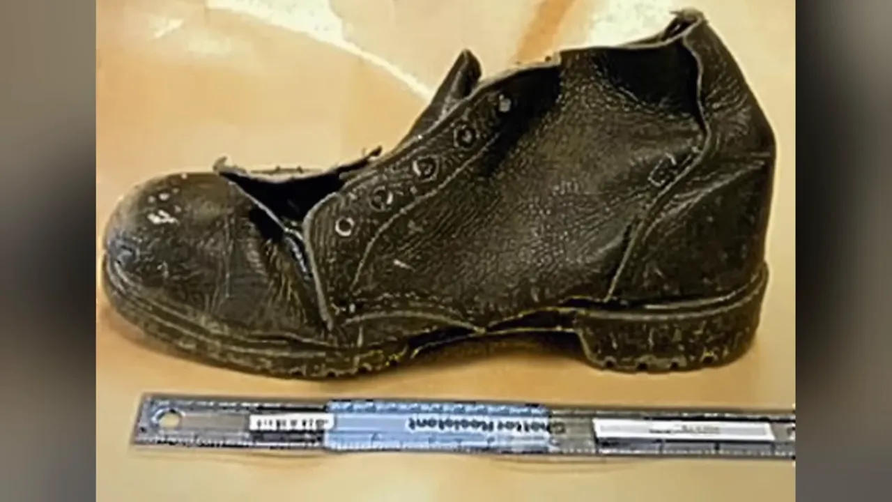 Cold case team poring over files and forensic reports