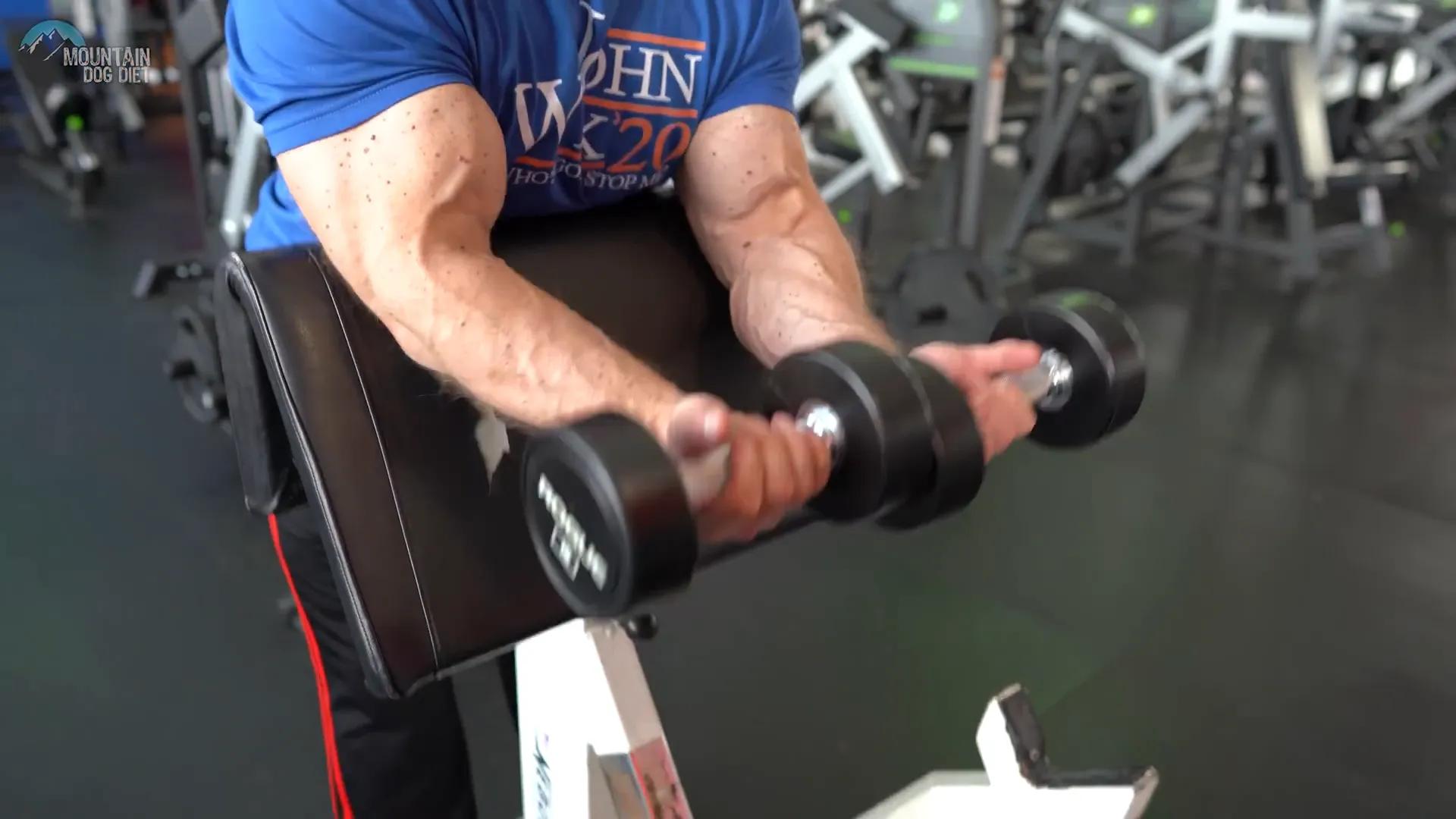 Concentration preacher curls demonstration