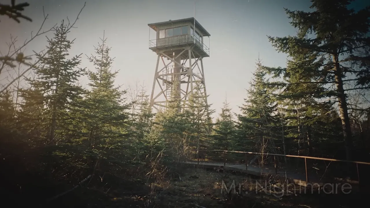 Abandoned fire lookout tower with stairs and surrounding forest