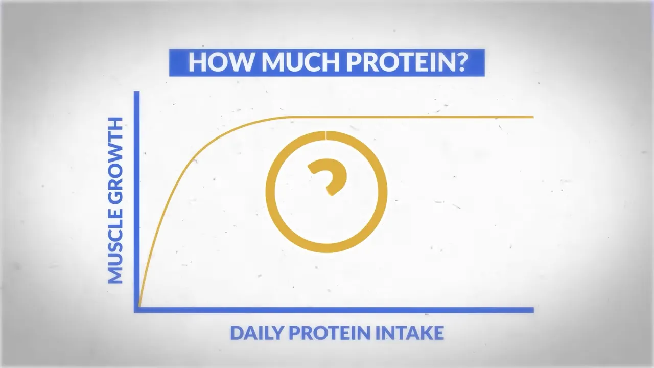 Graph titled 'HOW MUCH PROTEIN?' showing muscle growth on the y-axis and daily protein intake on the x-axis with a plateau