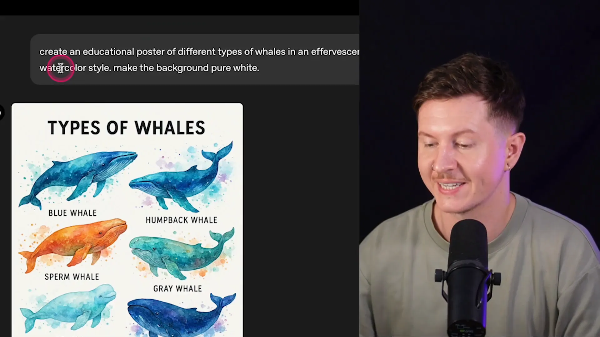 Example of an educational poster of whales