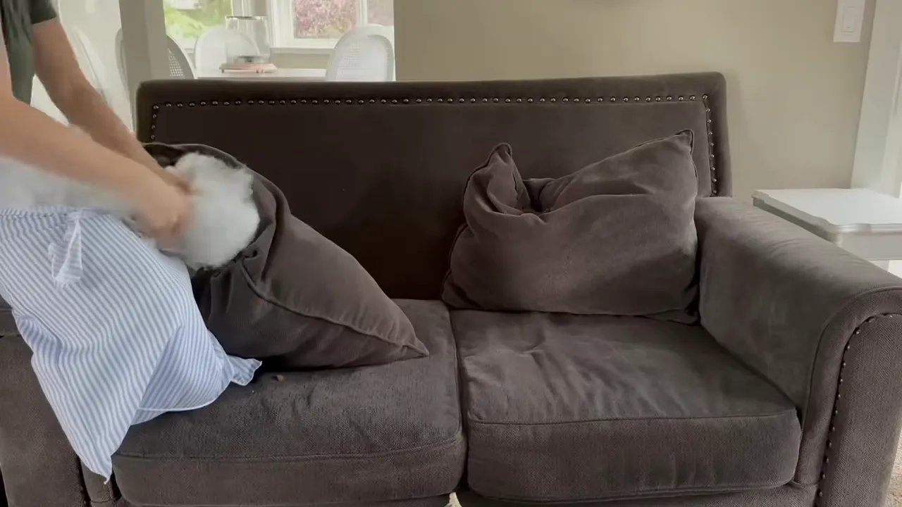 Close-up of hands packing white polyfill into a brown throw pillow on a gray couch