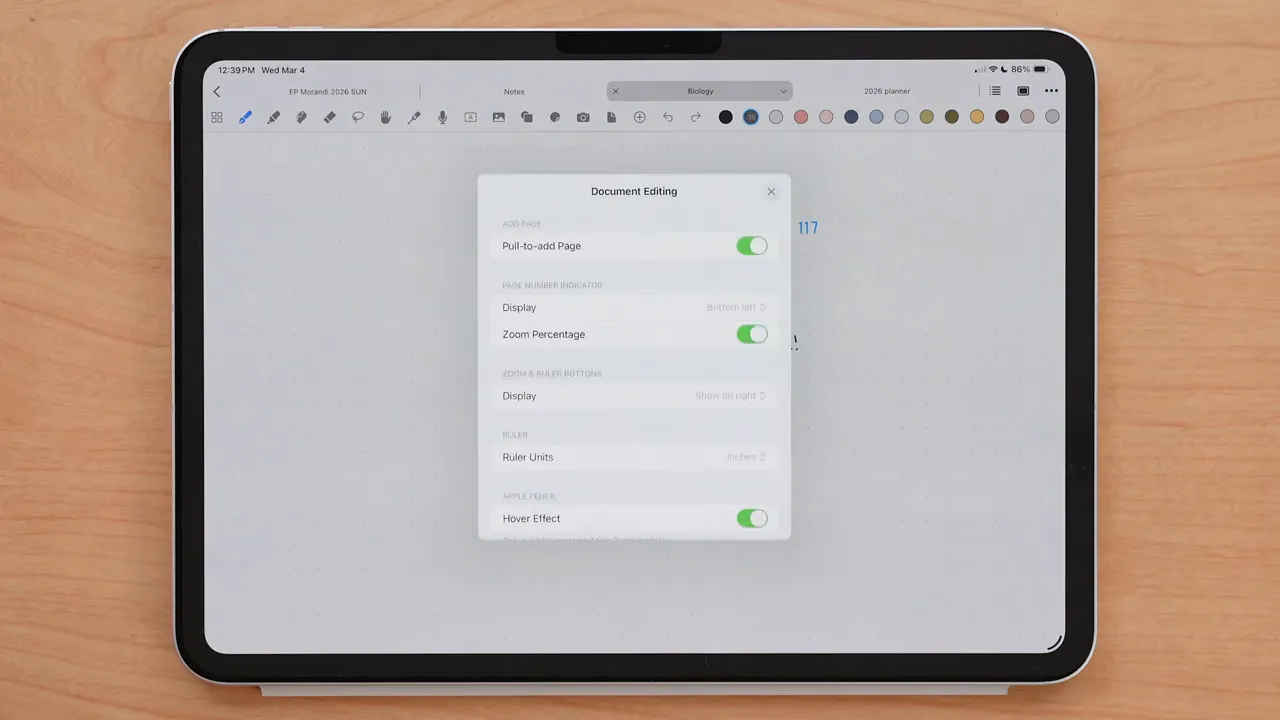 Noteful Document Editing settings showing page number indicator and zoom percentage toggles on iPad