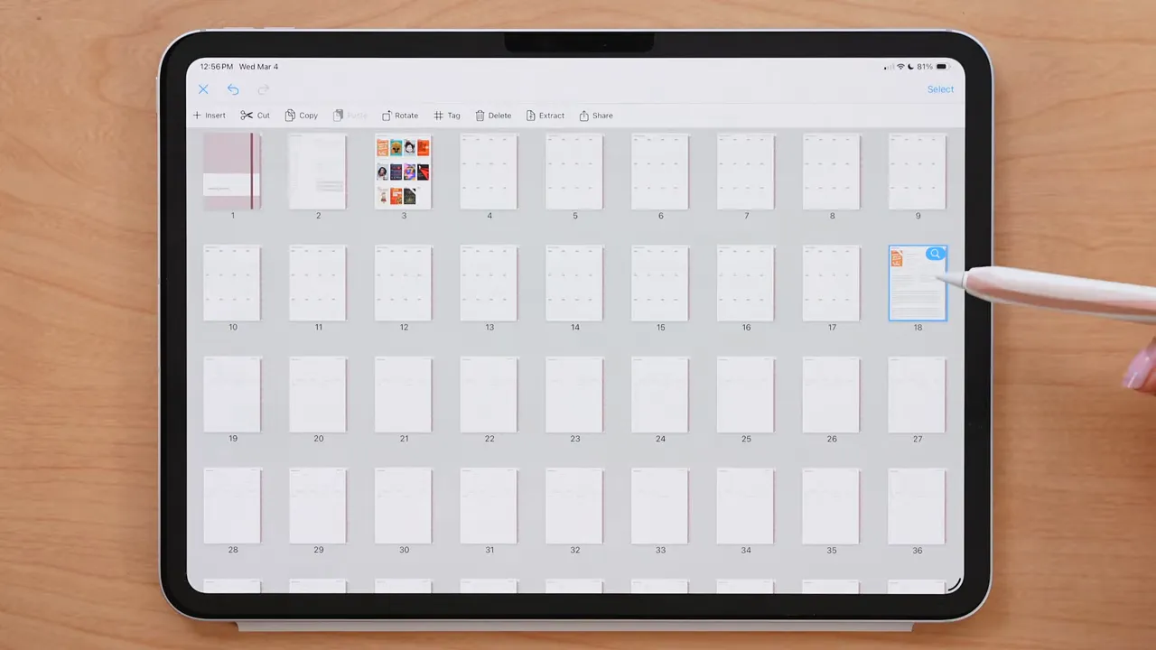 Noteful thumbnail viewer showing multiple pages with the insert controls on iPad
