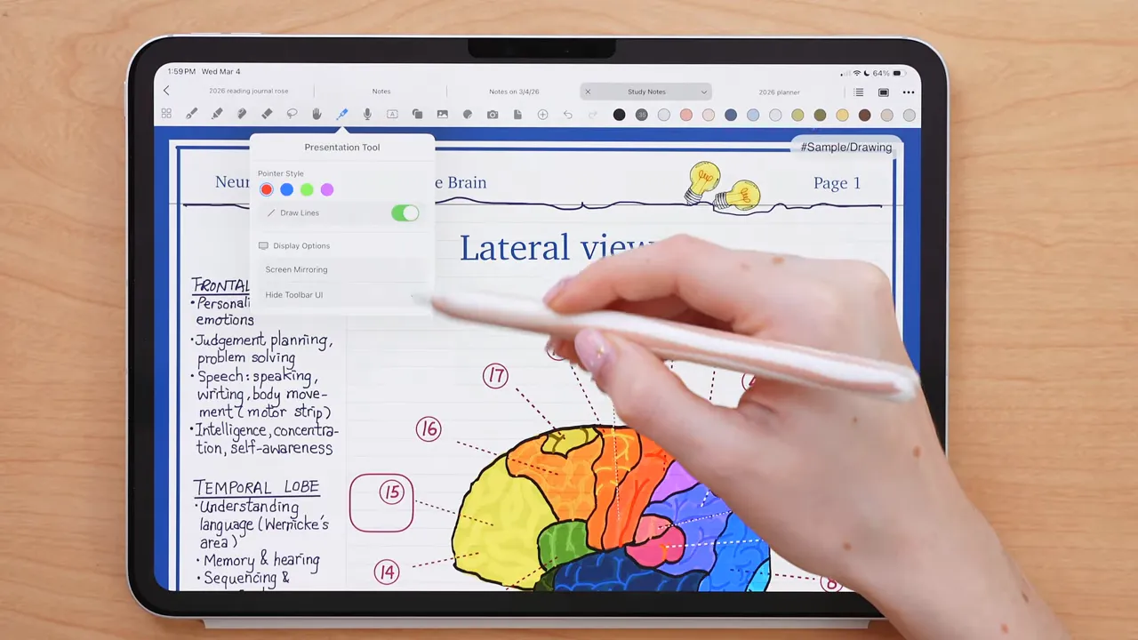 Noteful presentation tool settings open while viewing a brain diagram page