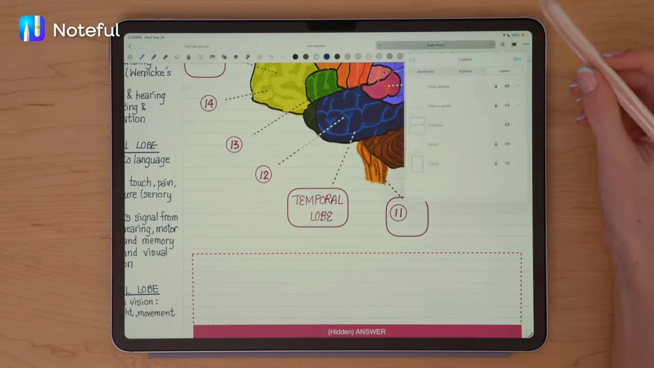 Noteful note with brain diagram and layers menu open on the right