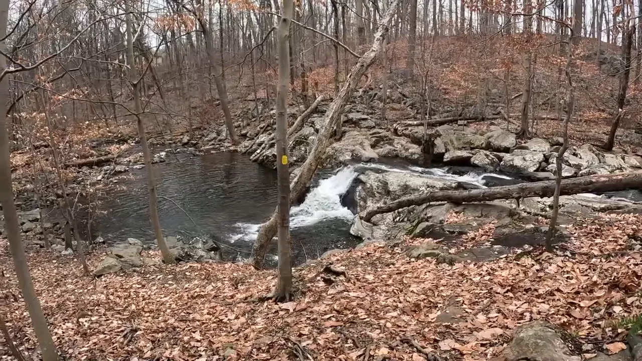 Waterfall and creek along a wooded hiking trail in Mendham NJ