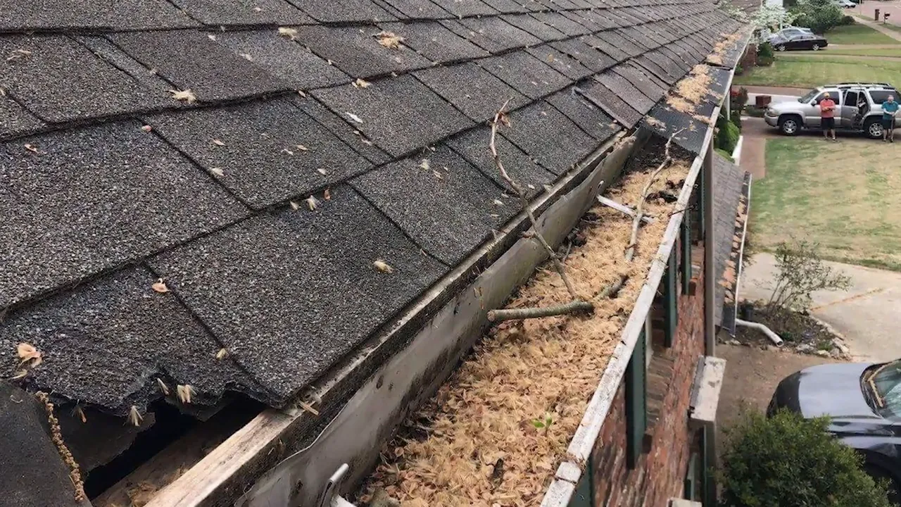 Visible water and gutter drainage problem along a damaged roof edge