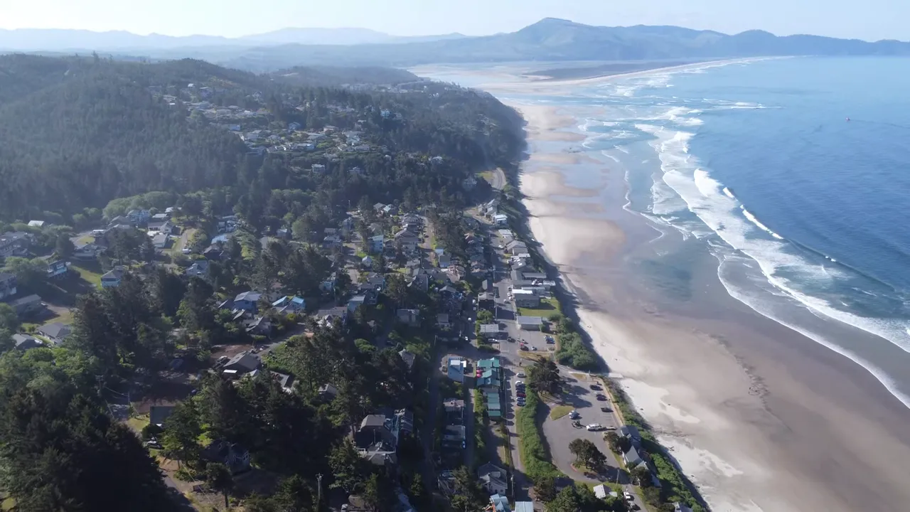 Aerial view of a long sandy beach bordered by forest and coastal homes