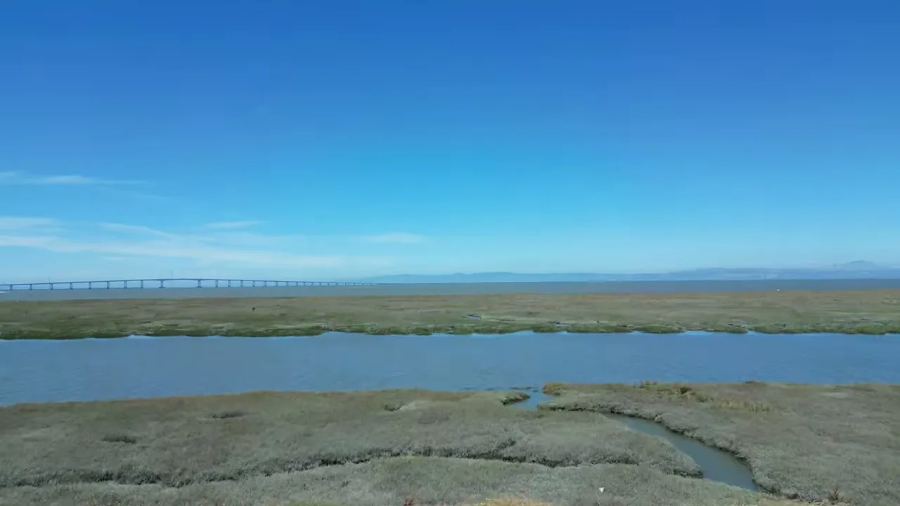 Aerial view of Redwood Shores waterfront wetlands and calm water