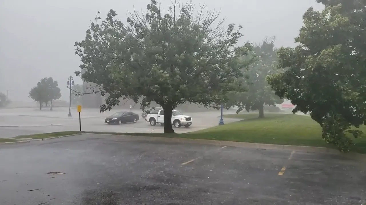 Foggy residential street with trees on a gray day
