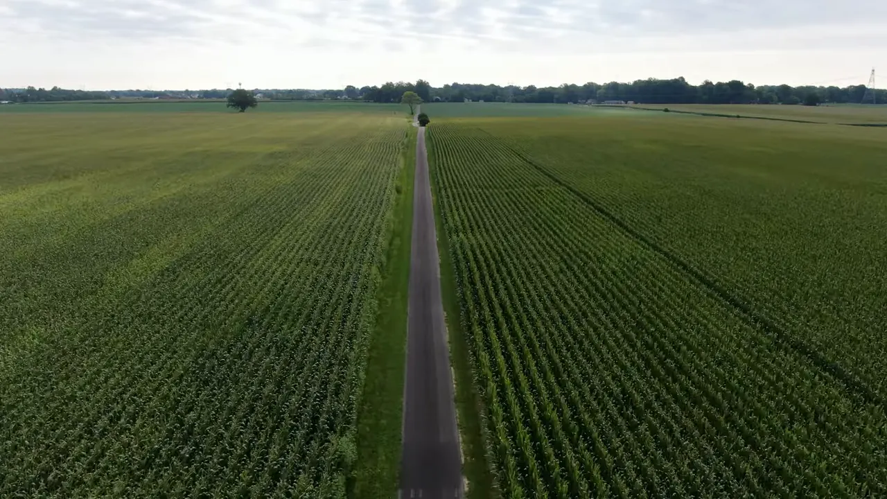 A rural road stretching through cornfields under an overcast sky in Hancock County, Indiana