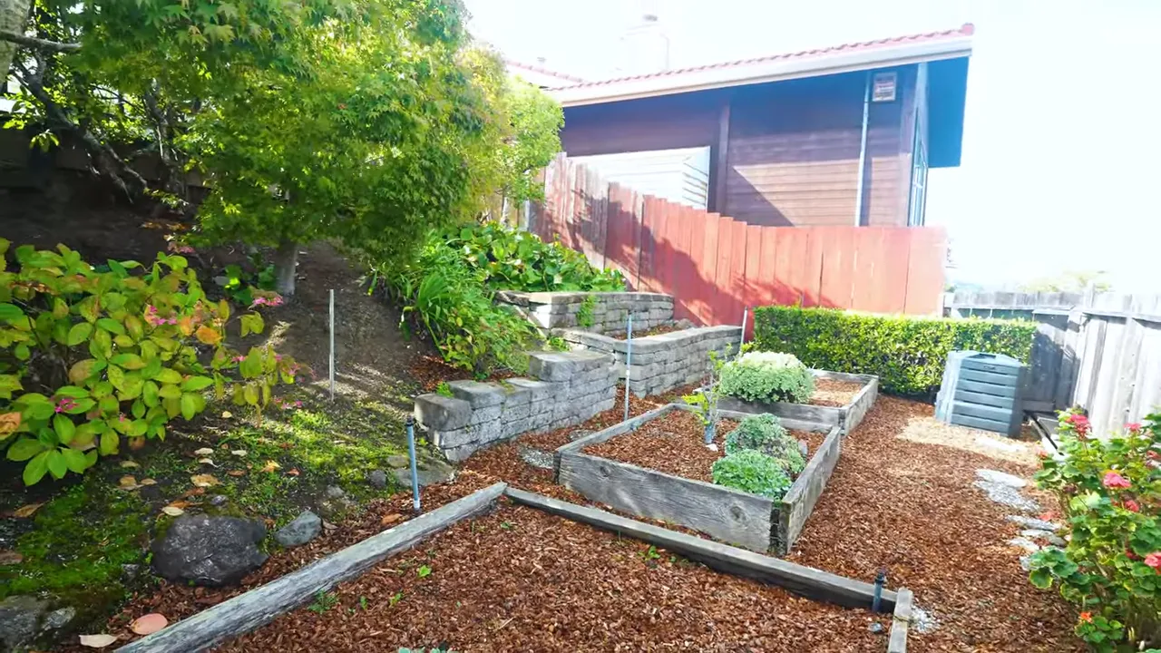 Backyard with raised garden beds, terraced retaining wall, mulch pathways and shrubs