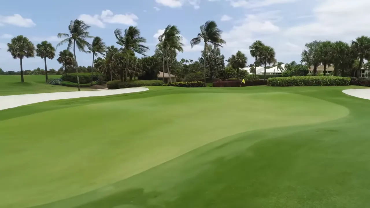 Golf putting green with surrounding palms, sand bunker and homes beyond under a blue sky