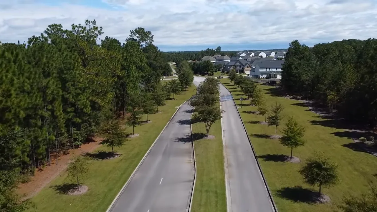Tree lined aerial view of South Lexington