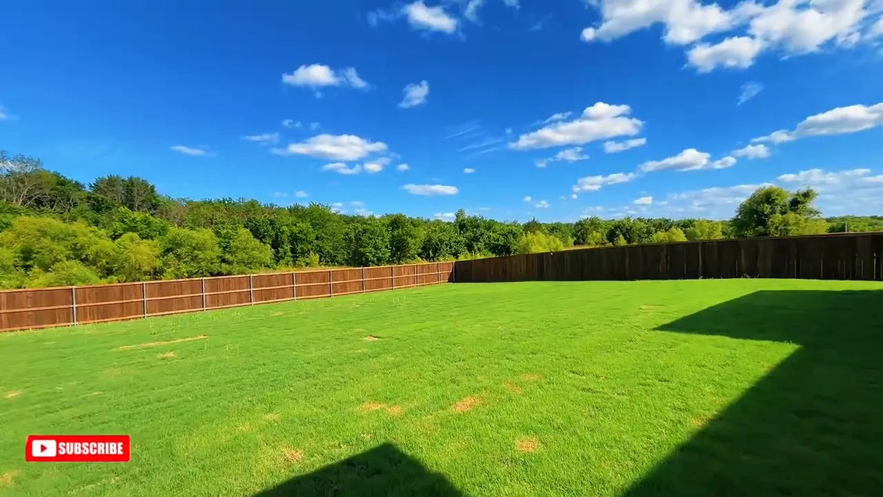 Huge backyard with green grass wood fence and trees beyond the fence