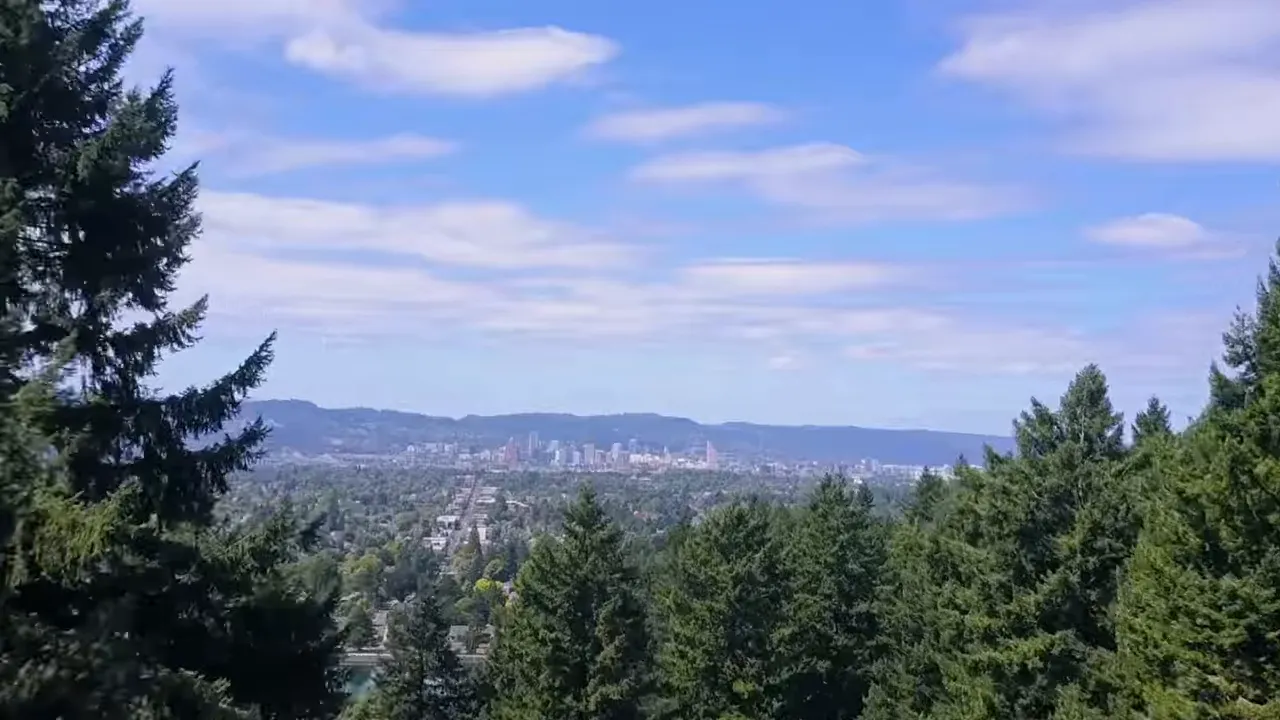Wide view over forest toward Portland skyline and hills under blue sky