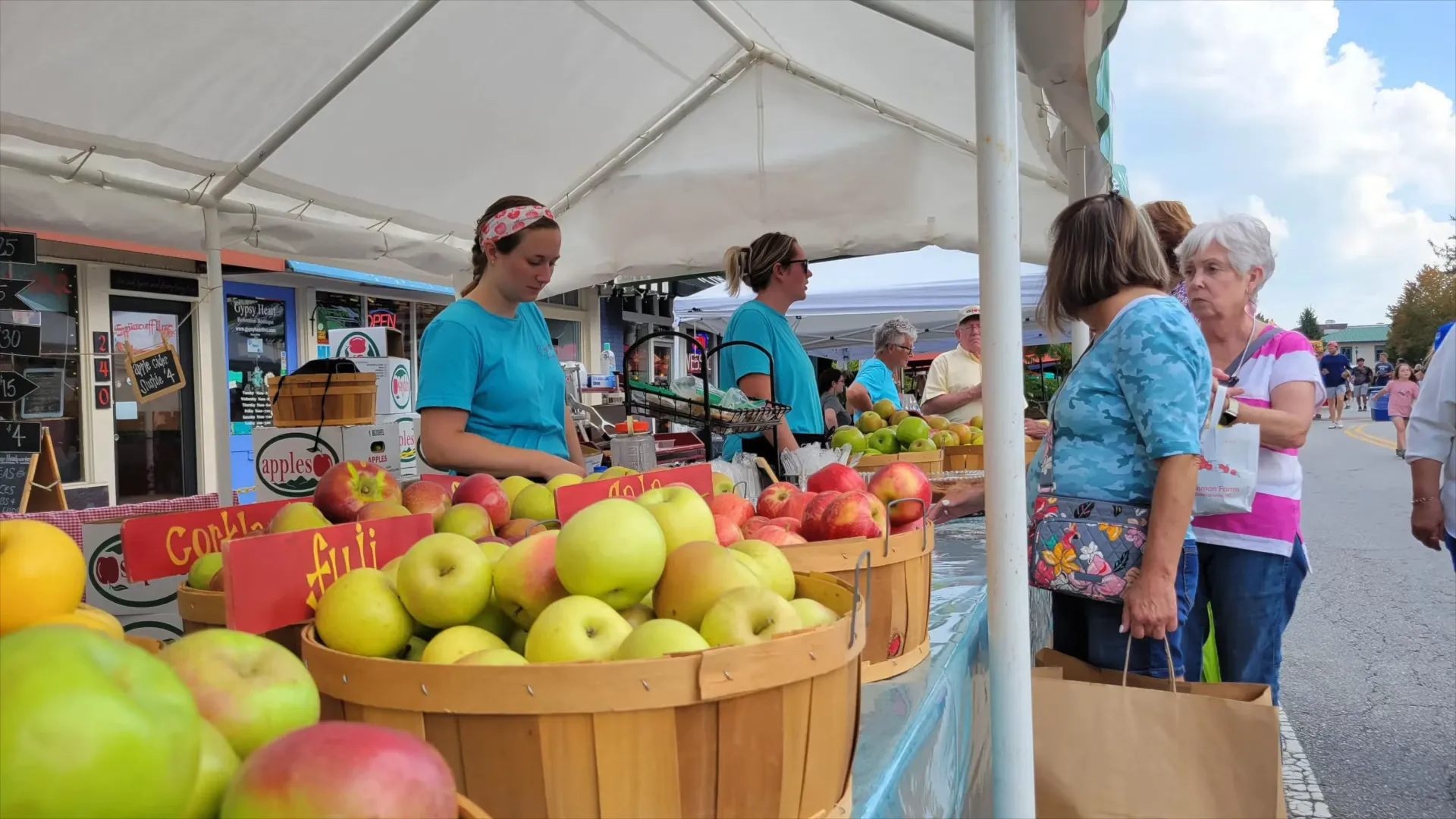 Apple picking at a local orchard