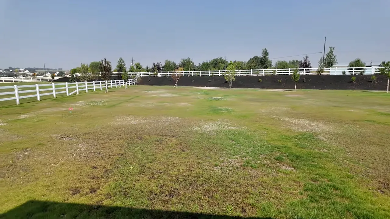 Large fenced backyard with open lawn and young trees