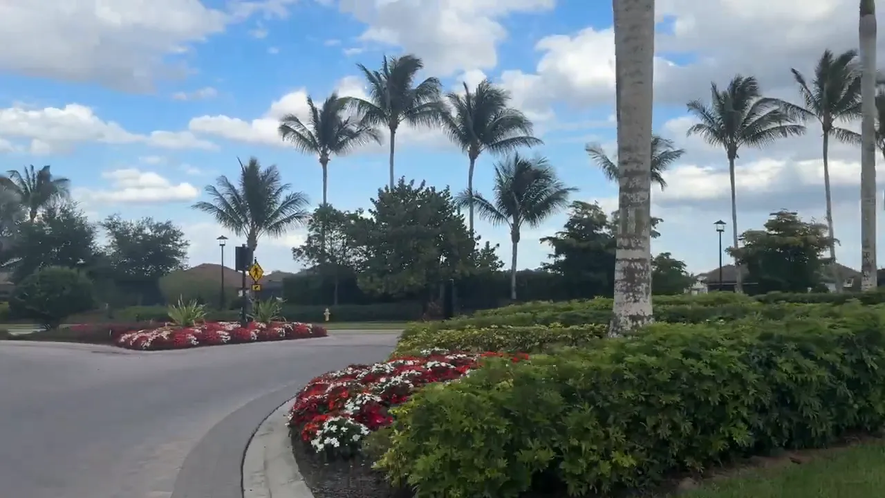 Landscaped roundabout with palm trees and red white flower beds