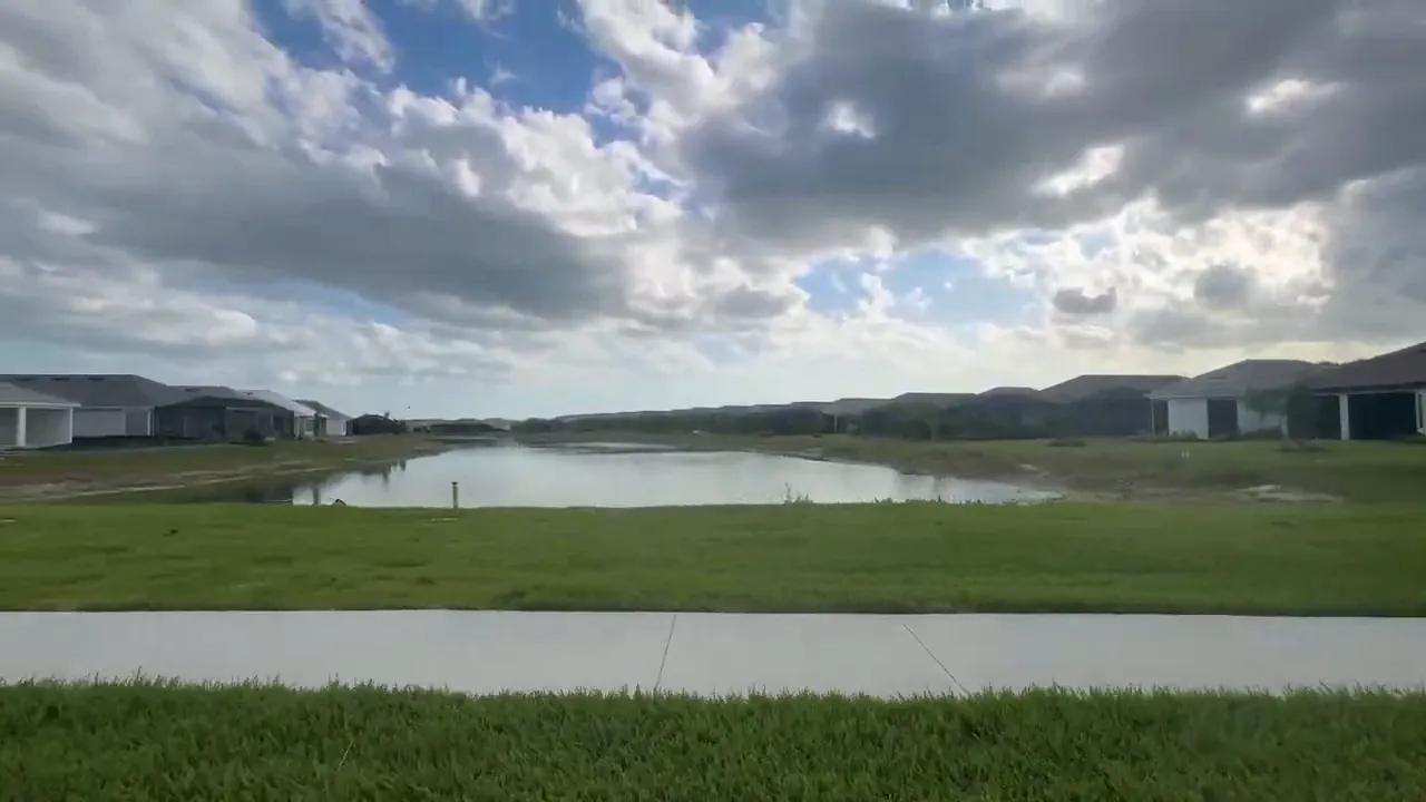 Walking path beside lake with palm trees and open green space