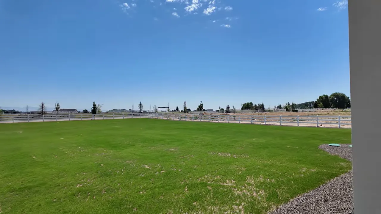 Wide green fenced acreage yard under clear blue sky