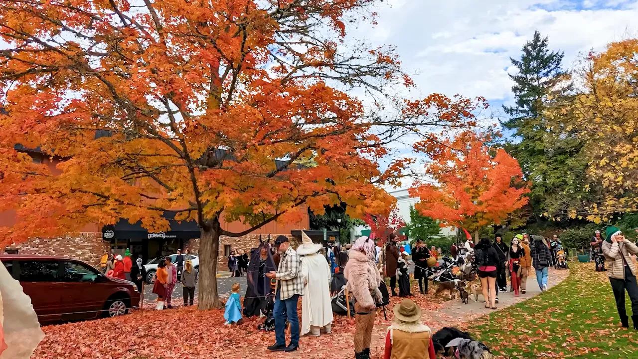 Crowds and costumed attendees under bright orange autumn trees at a downtown festival.