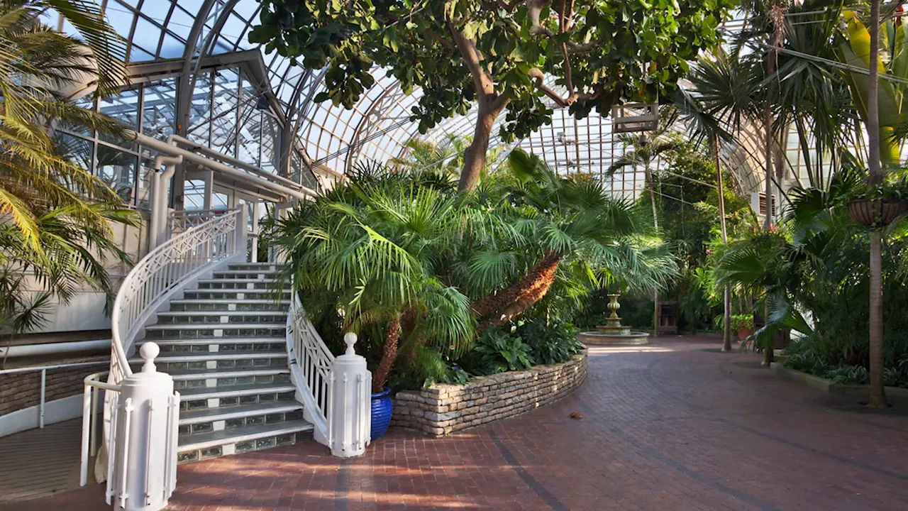Indoor conservatory with staircase and tropical plants