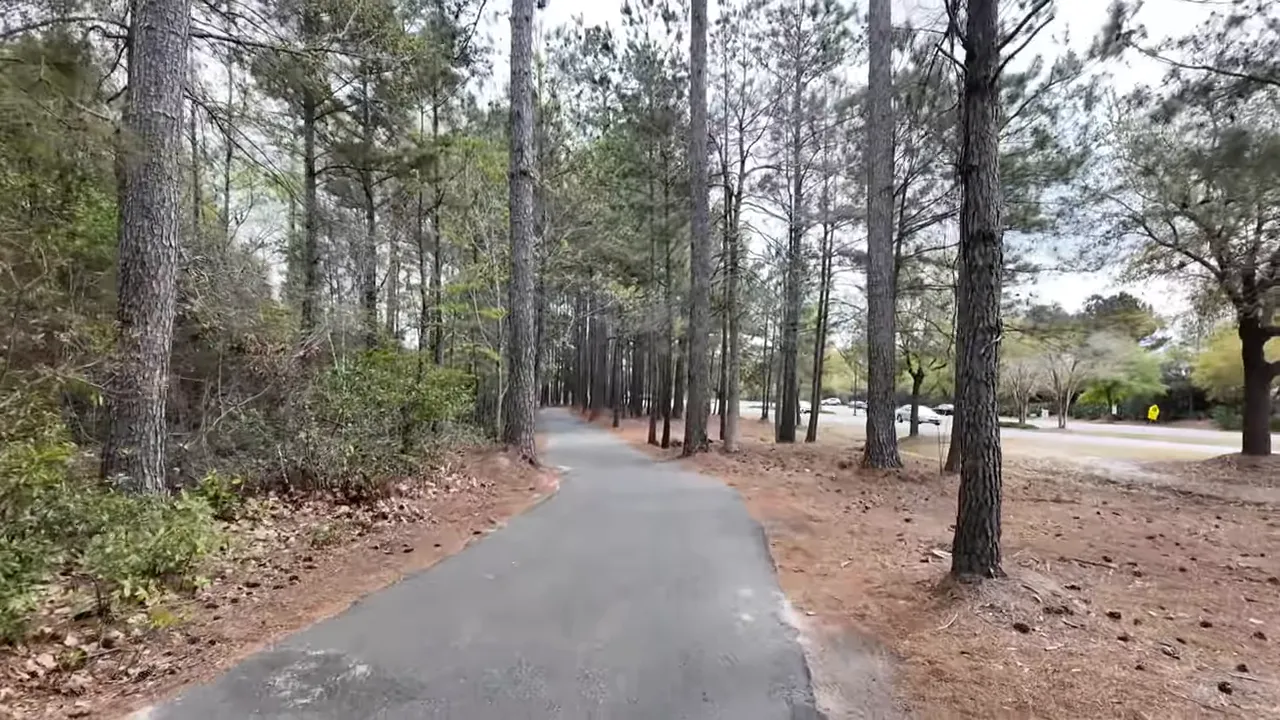 paved walking and golf-cart trail lined with pine trees in a Summerville neighborhood