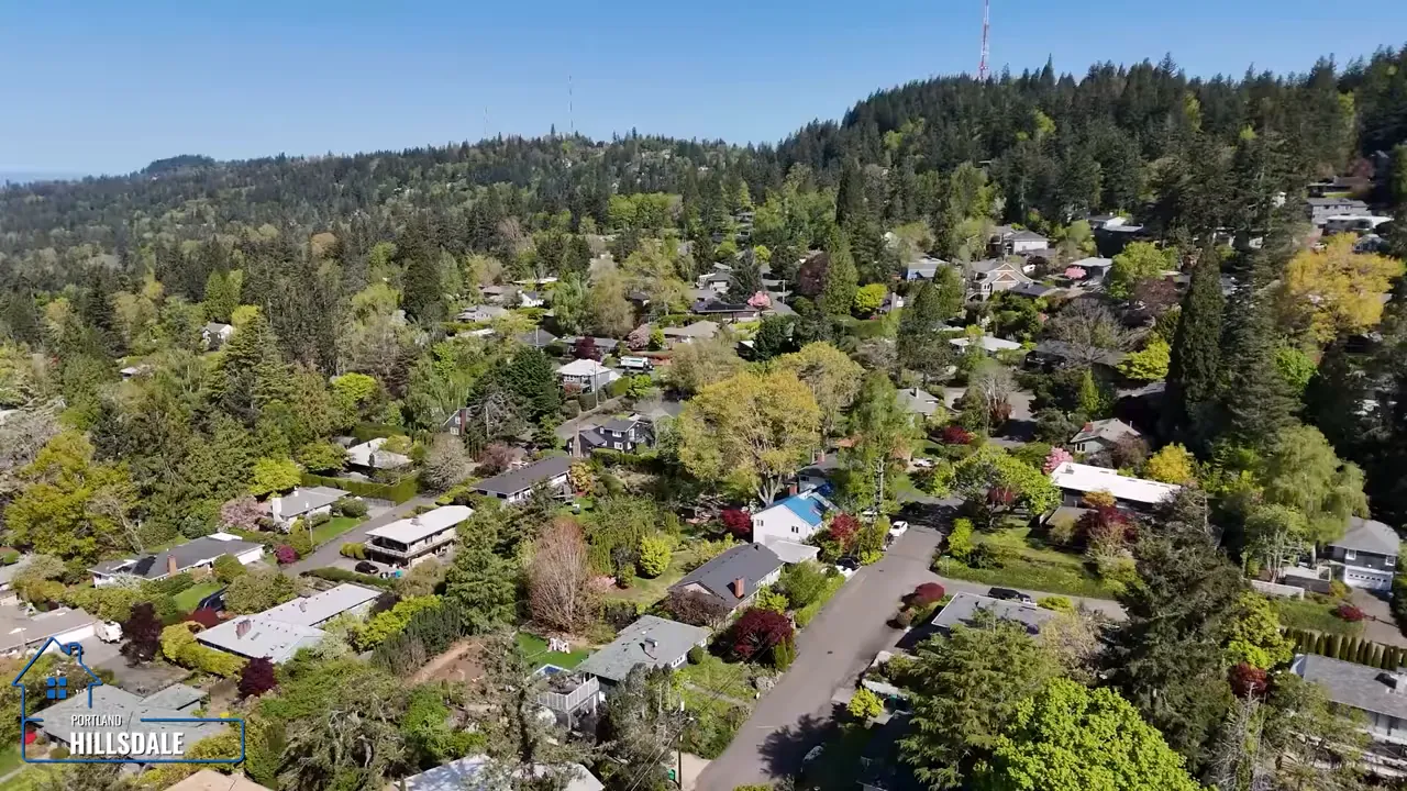 Aerial view over hilly residential streets with mature trees in Hillsdale