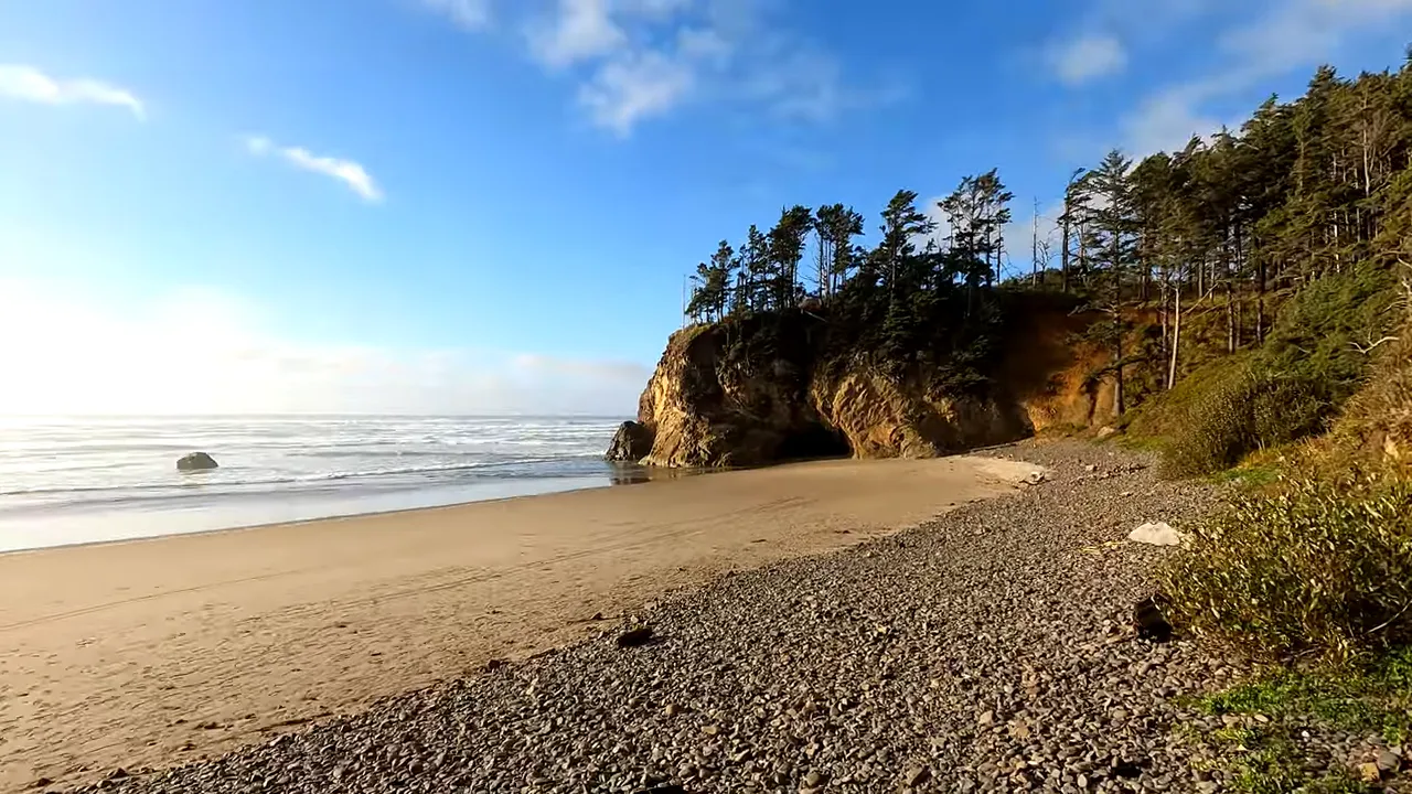 Rocky Oregon Coast beach with ocean waves and a forested cliff