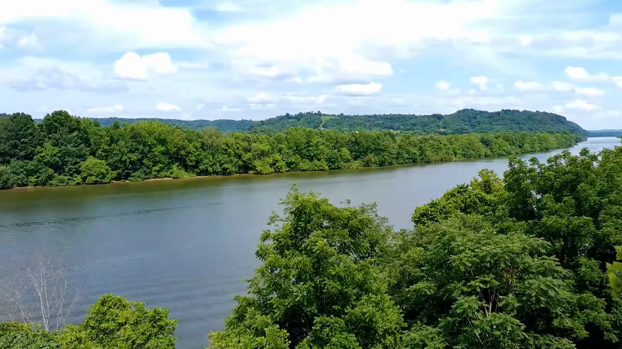 Wide river bordered by dense green trees under a bright sky