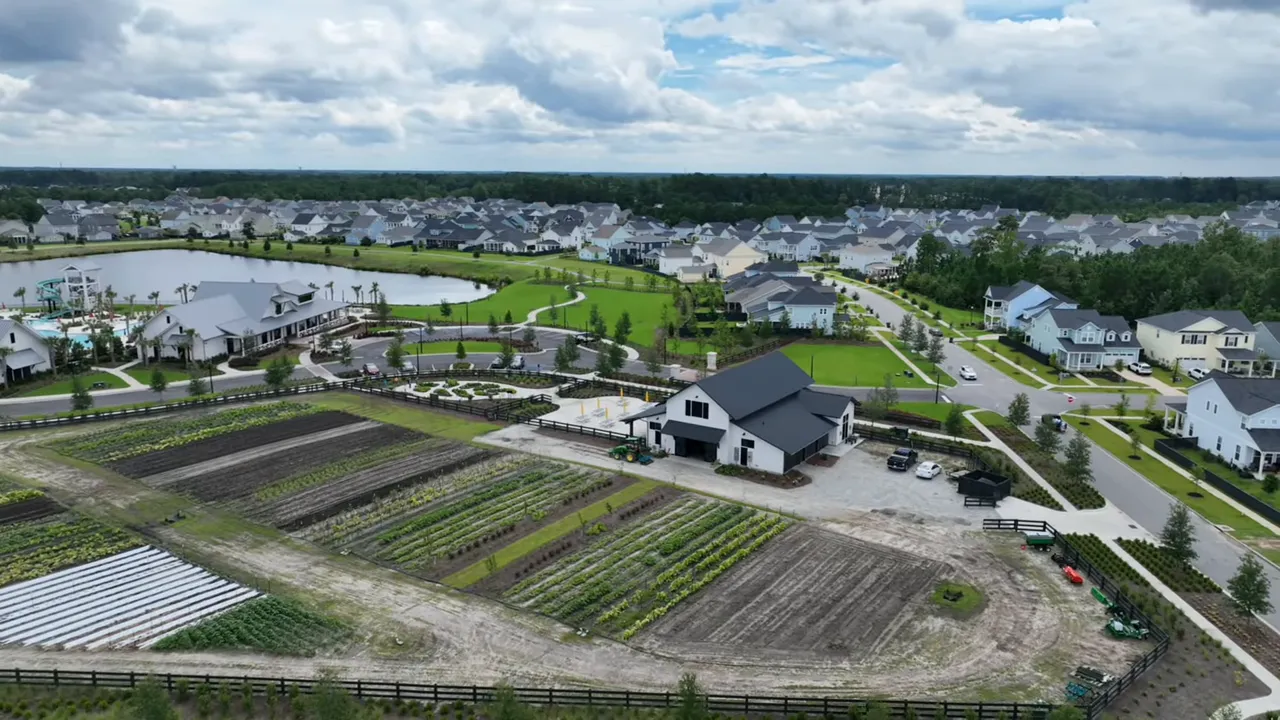Farm beds with vegetables growing at the Agrahood in Carnes Crossroads