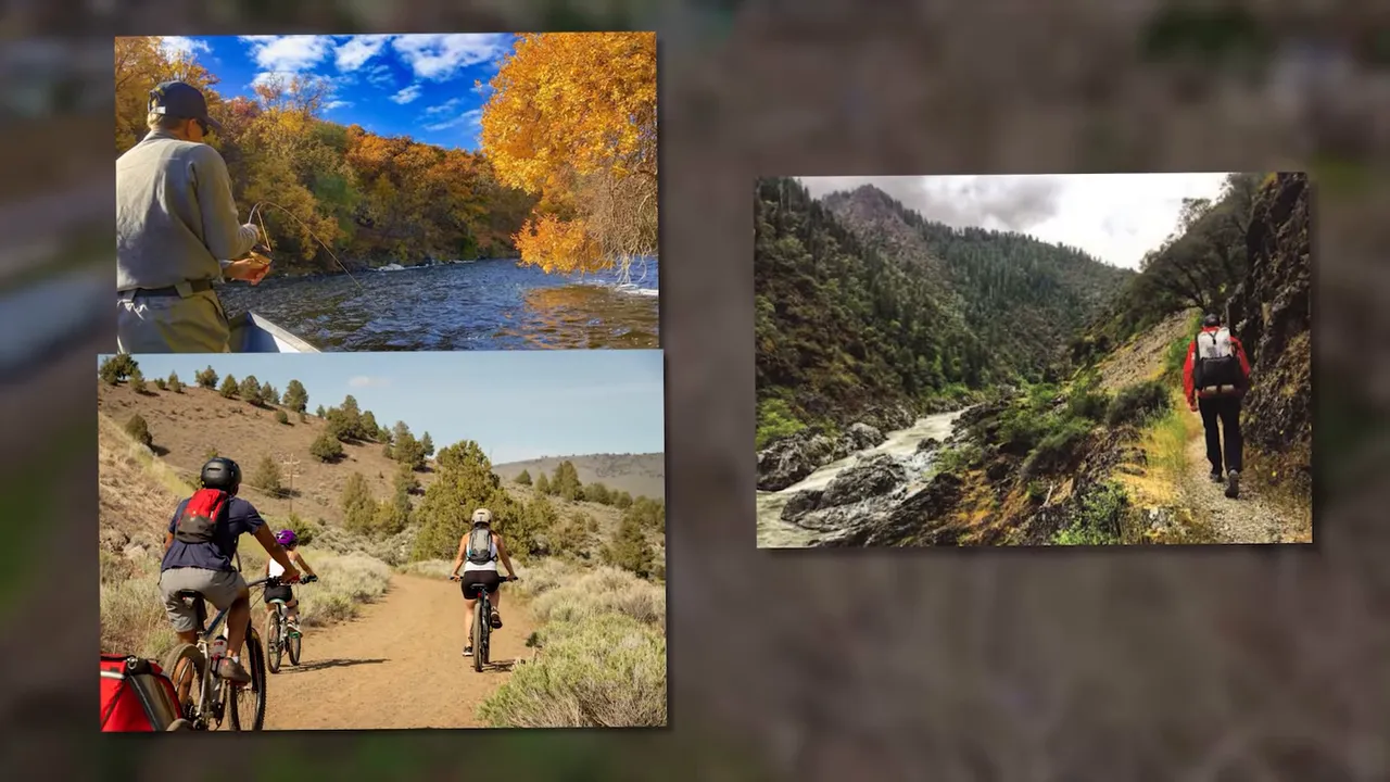 Family hiking on a scenic trail