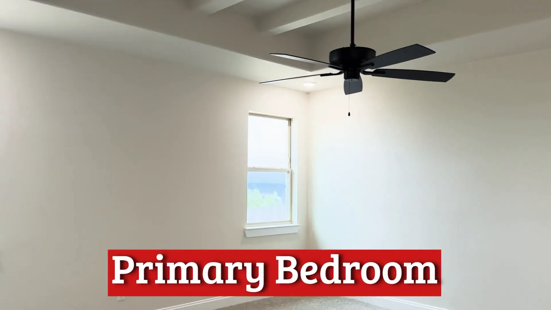 Primary bedroom with tray ceiling