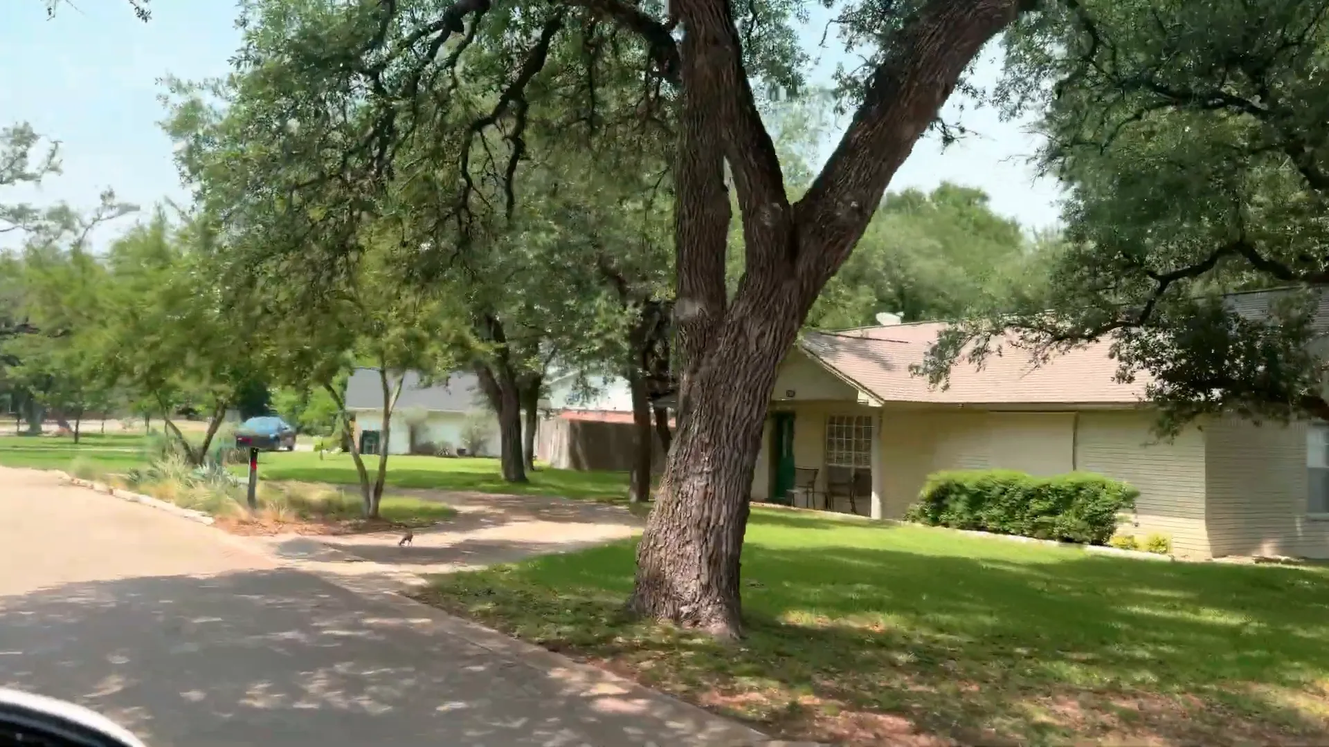 Real estate in Salado