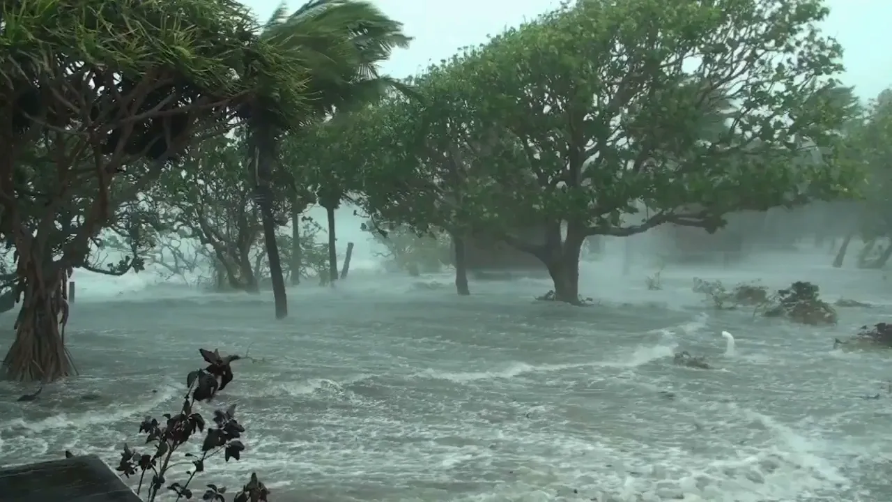 Storm surge and flooding around trees during severe weather