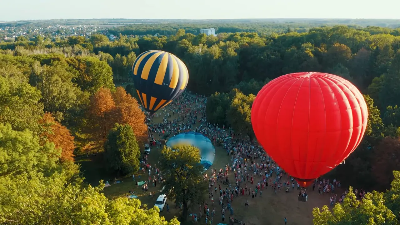 hot air balloons floating above a tree filled park and crowd